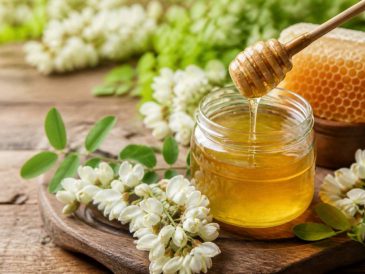 Les bienfaits du miel d'acacia : vertus et usages au quotidien