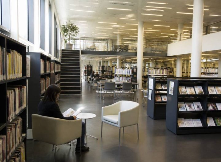 Médiathèque Niort : les meilleures ressources culturelles à découvrir
